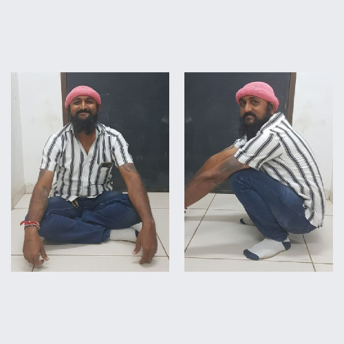 Hip replacement case