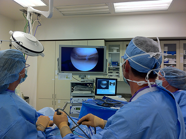 joint-replacement